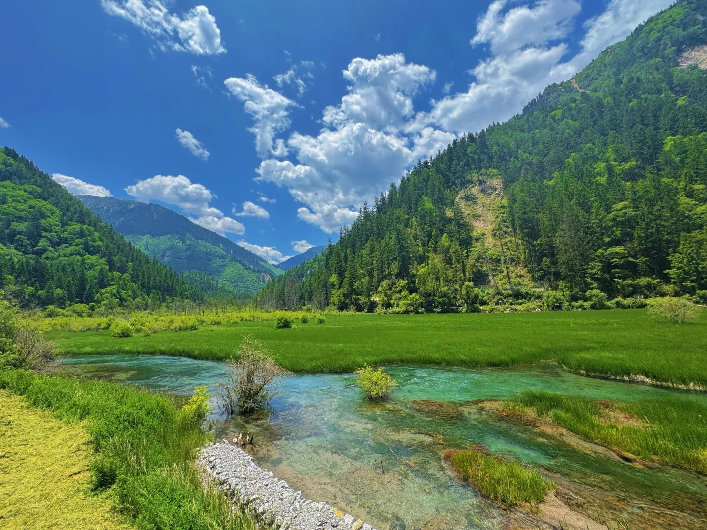 Jiuzhaigou Travel Guide 2026: Turquoise Lakes, Autumn Colors &amp; Fairy-Tale Waterfalls for Foreign Travelers