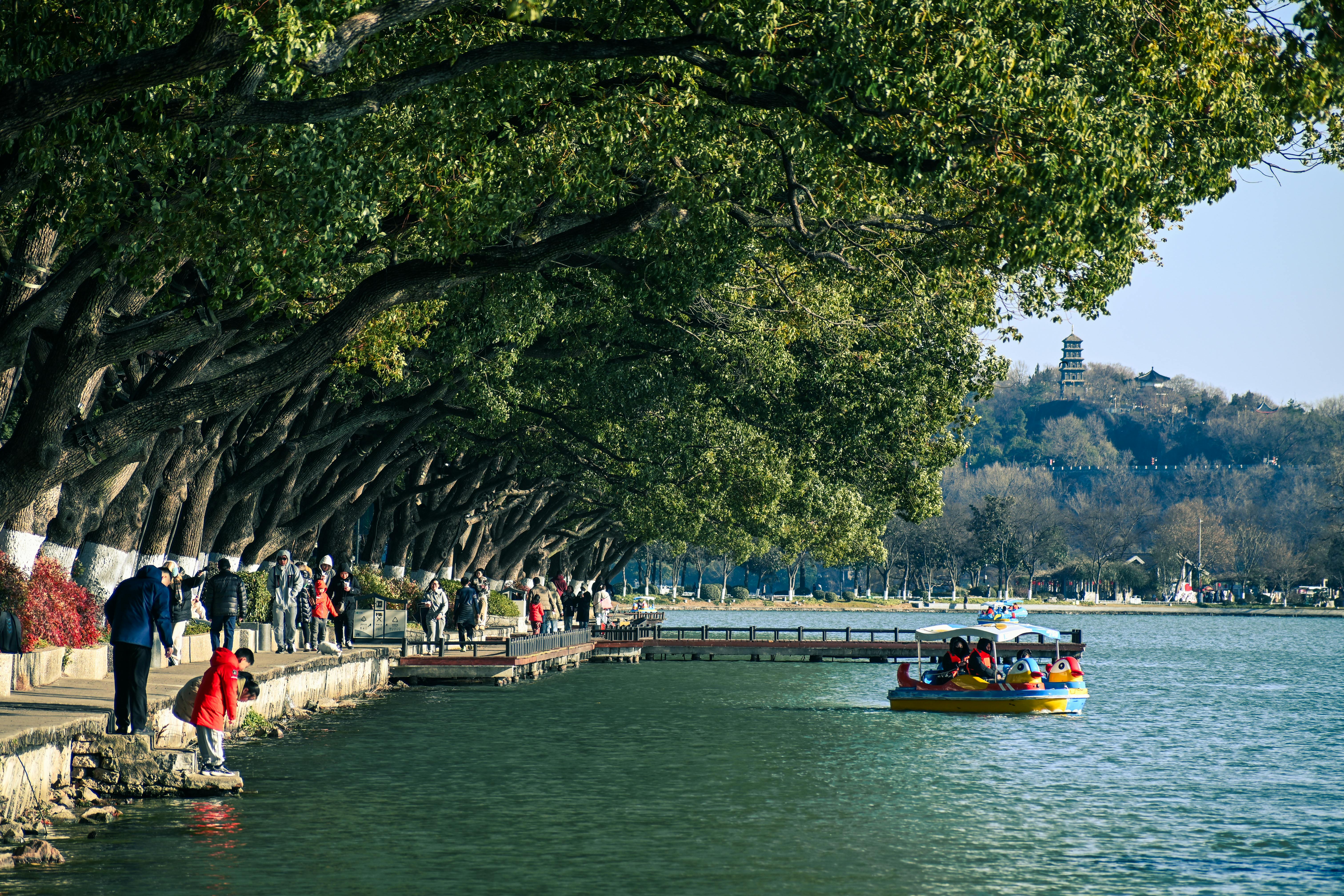 Nanjing Travel Guide 2026: Ming Dynasty History, Ancient City Walls &amp; Must-See Sights for Foreign Travelers