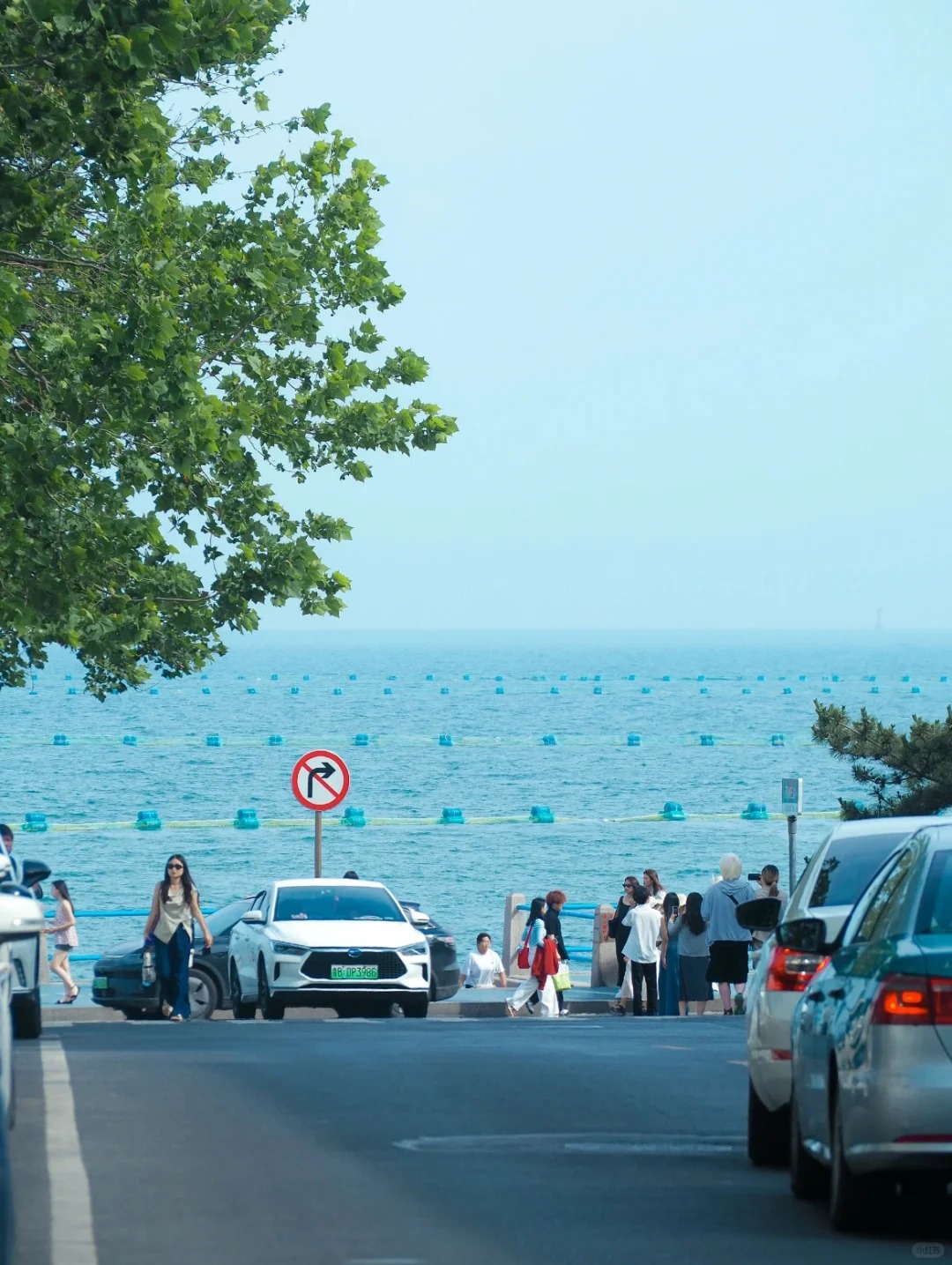 Qingdao Travel Guide 2026: Beer, Beaches & German Architecture on China's Coast