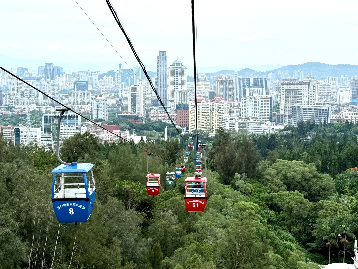 Xiamen Travel Guide 2026: Gulangyu Island, Seafood &amp; Seaside Charm for Foreign Travelers