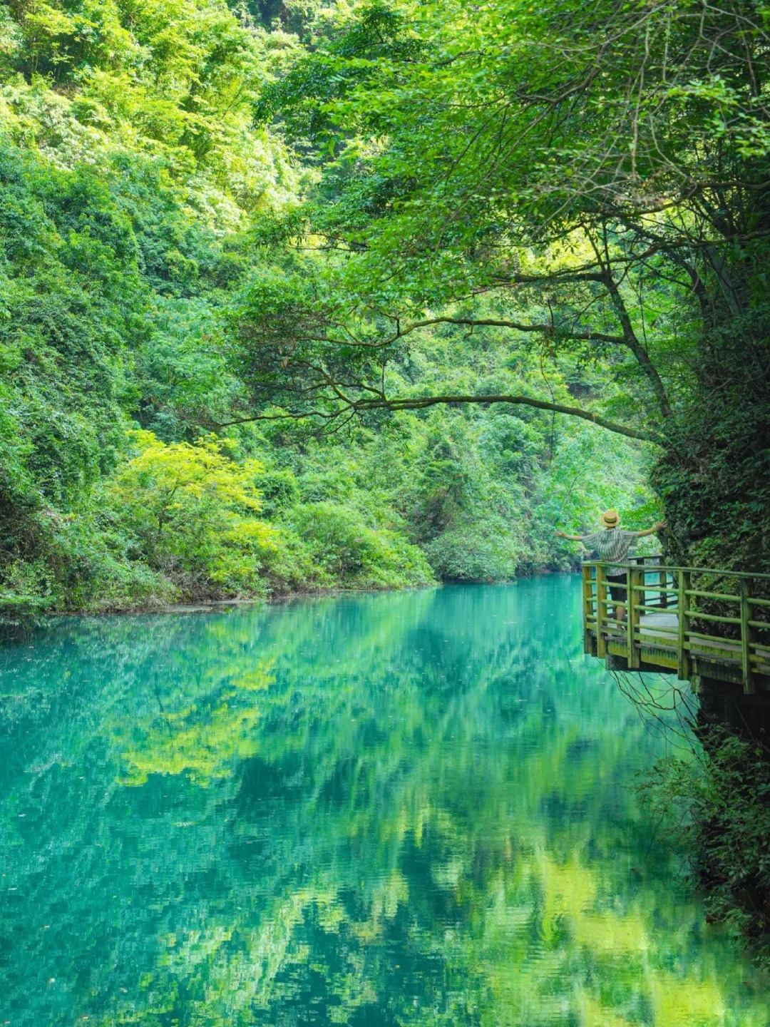 Zhangjiajie Travel Guide 2026: Avatar Mountains, Tianmen Mountain & the Glass Bridge for Foreign Travelers